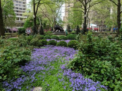 rittenhouse_15
